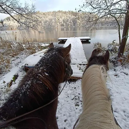 Stajnia Rogala Farm stay *