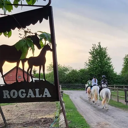 Farm stay Stajnia Rogala