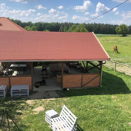 Farm stay Stajnia Rogala Ostrowin